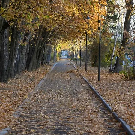 Guest house Rila Hills *